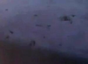 Voyeur real arabic sex