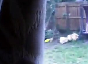 Watching Wife fuck the neighbors son prt 1